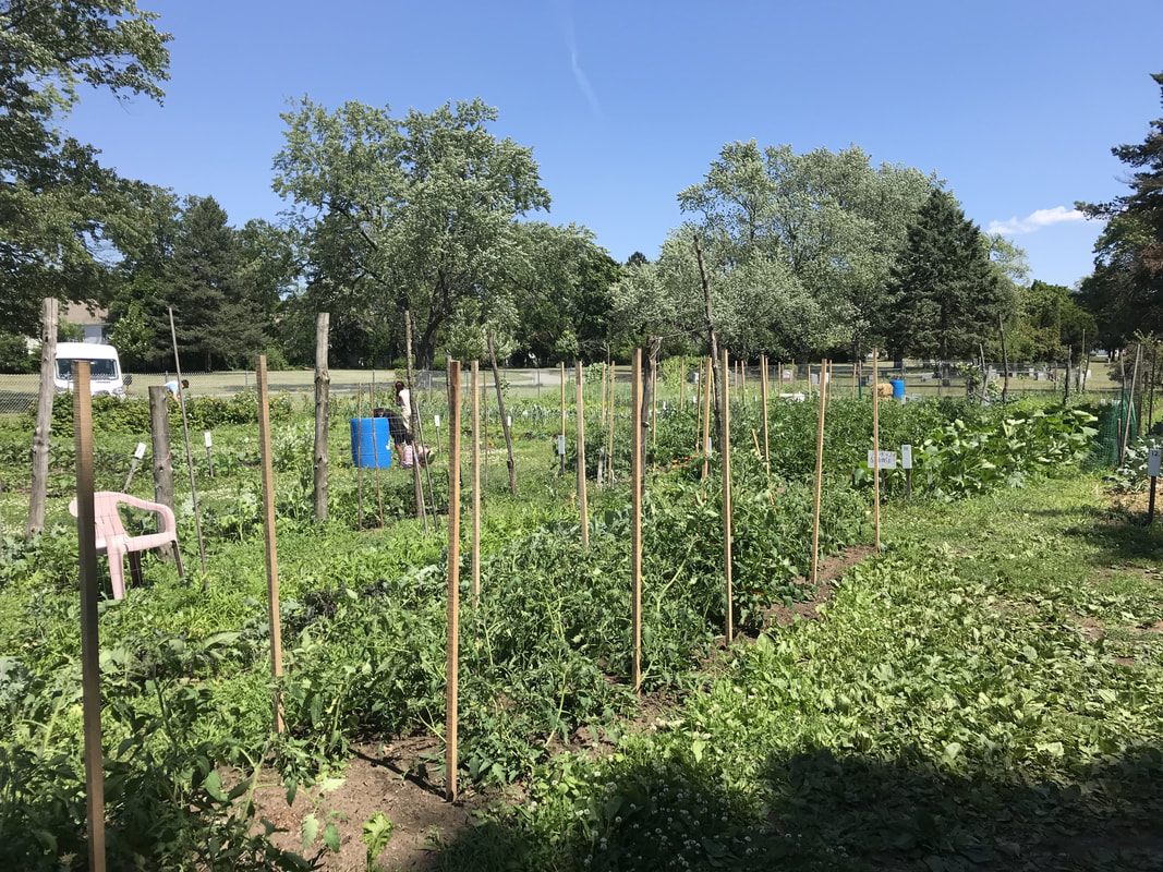 Schenectady County Food Council